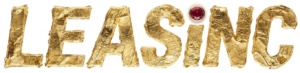 LEASiNC.com